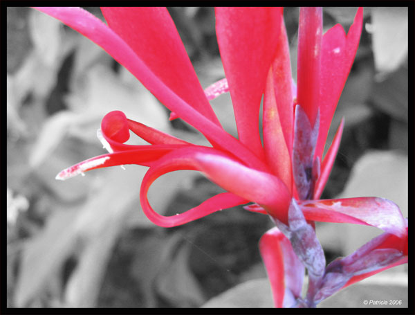 Image Hosted by ImageShack.us